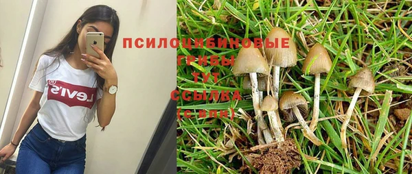 твердый Елабуга