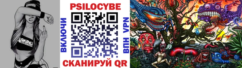 Псилоцибиновые грибы Psilocybine cubensis  Глазов 